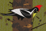 Charley Harper Needlepoint - Ivory Billed Woodpecker